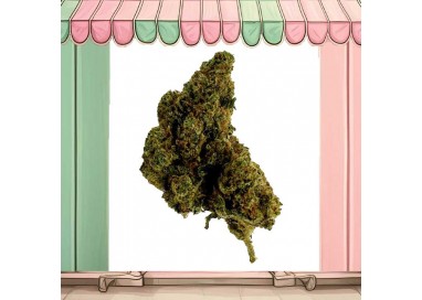 fleur g13 cali cbd 10-oh-hhc