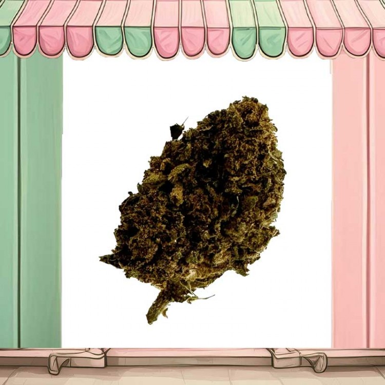 fleur orange bud cbd fleur orange bud cbd