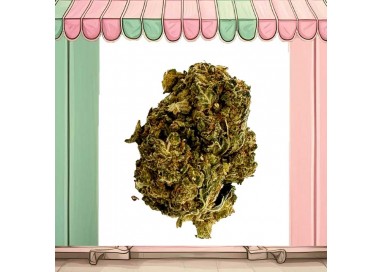 fleur gelato thcv