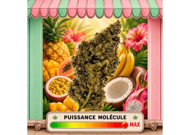 TROPICAL KUSH CBD MOLECULE THCX