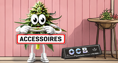 Accesoires CBD, feuilles ocb