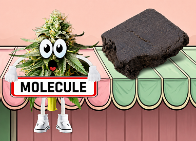 Rénine et Hash CBD molecule thx, thv-cbc, he
