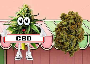 Fleur CBD