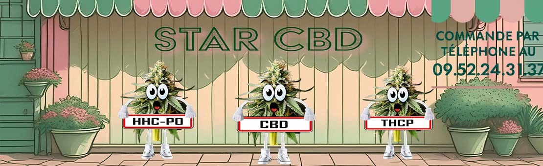 Huile CBD Bien être ...